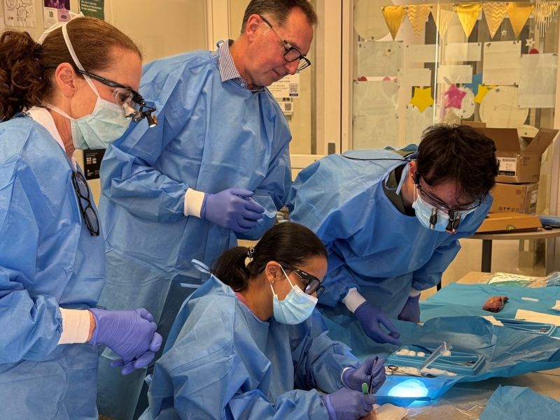 Learning locally to strengthen skills