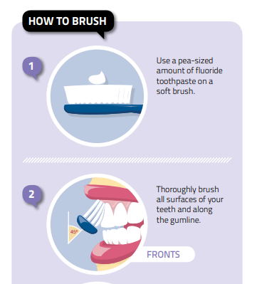 How to brush instructions fact sheet